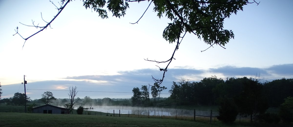 Sheryl Franklin tweet media