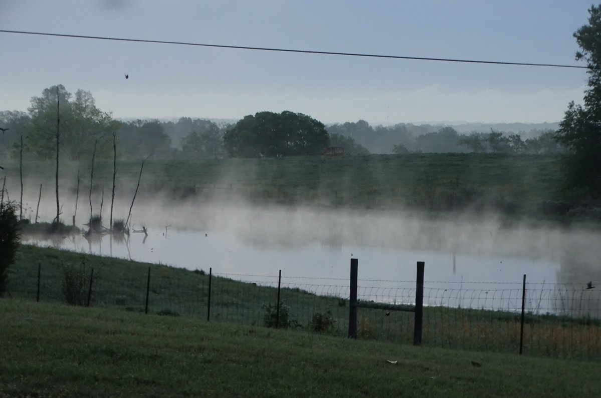 Sheryl Franklin tweet media