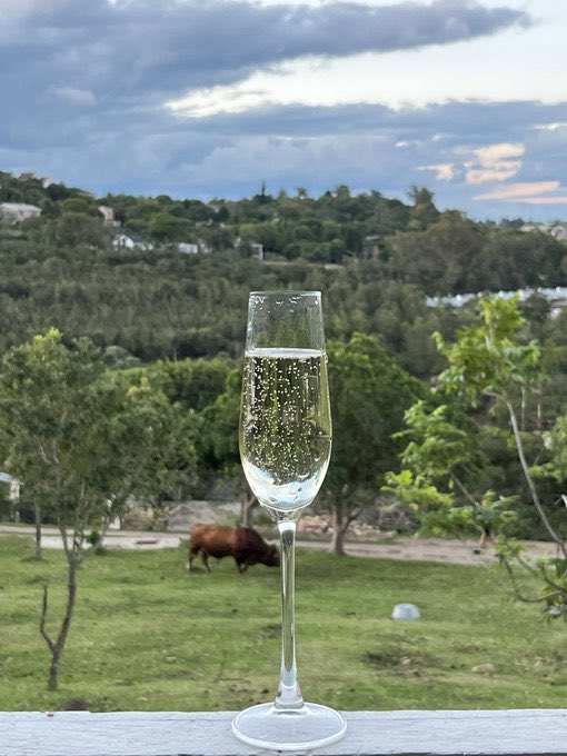 SamNK721's tweet image. Good afternoon to you 🫶
#HappySunday