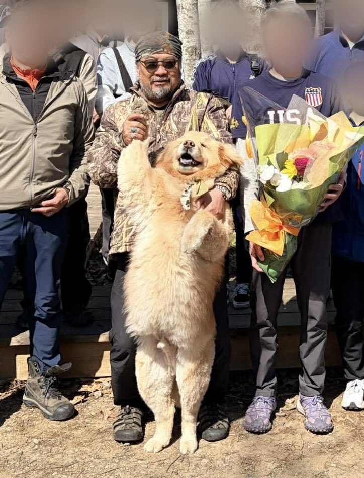 🦌むっち🌲 tweet media