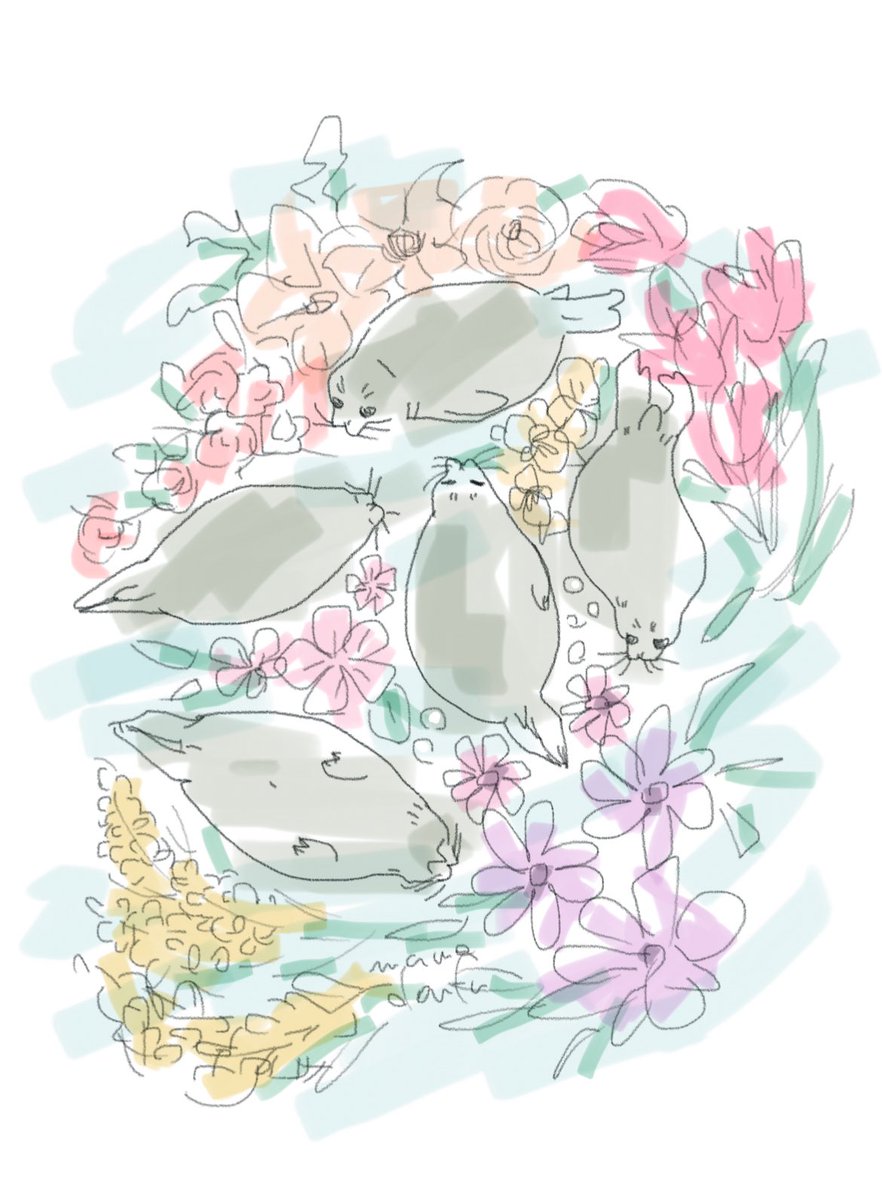 まめどうふmamedoufu tweet media