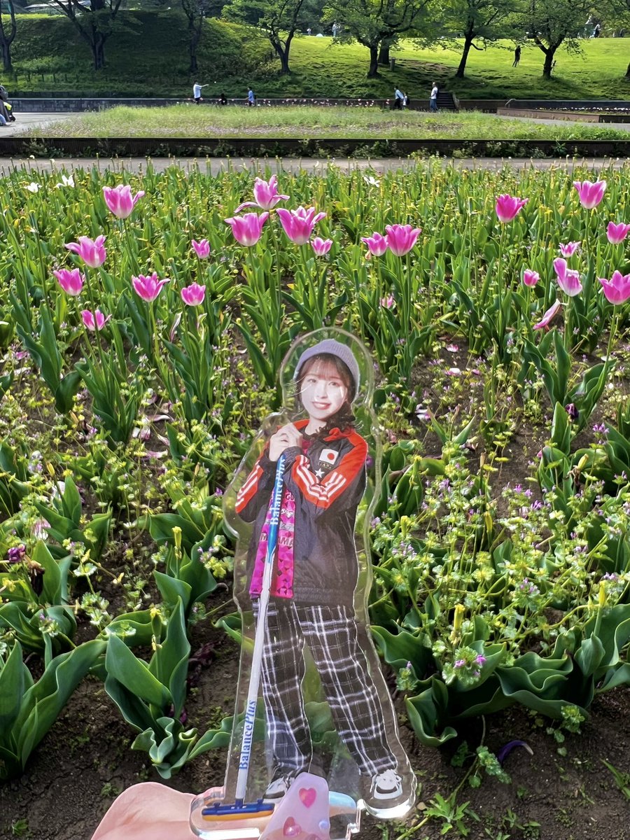 すみれ tweet media