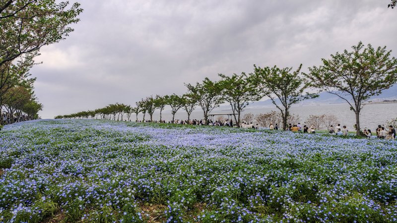 わかば＠ぱ tweet media