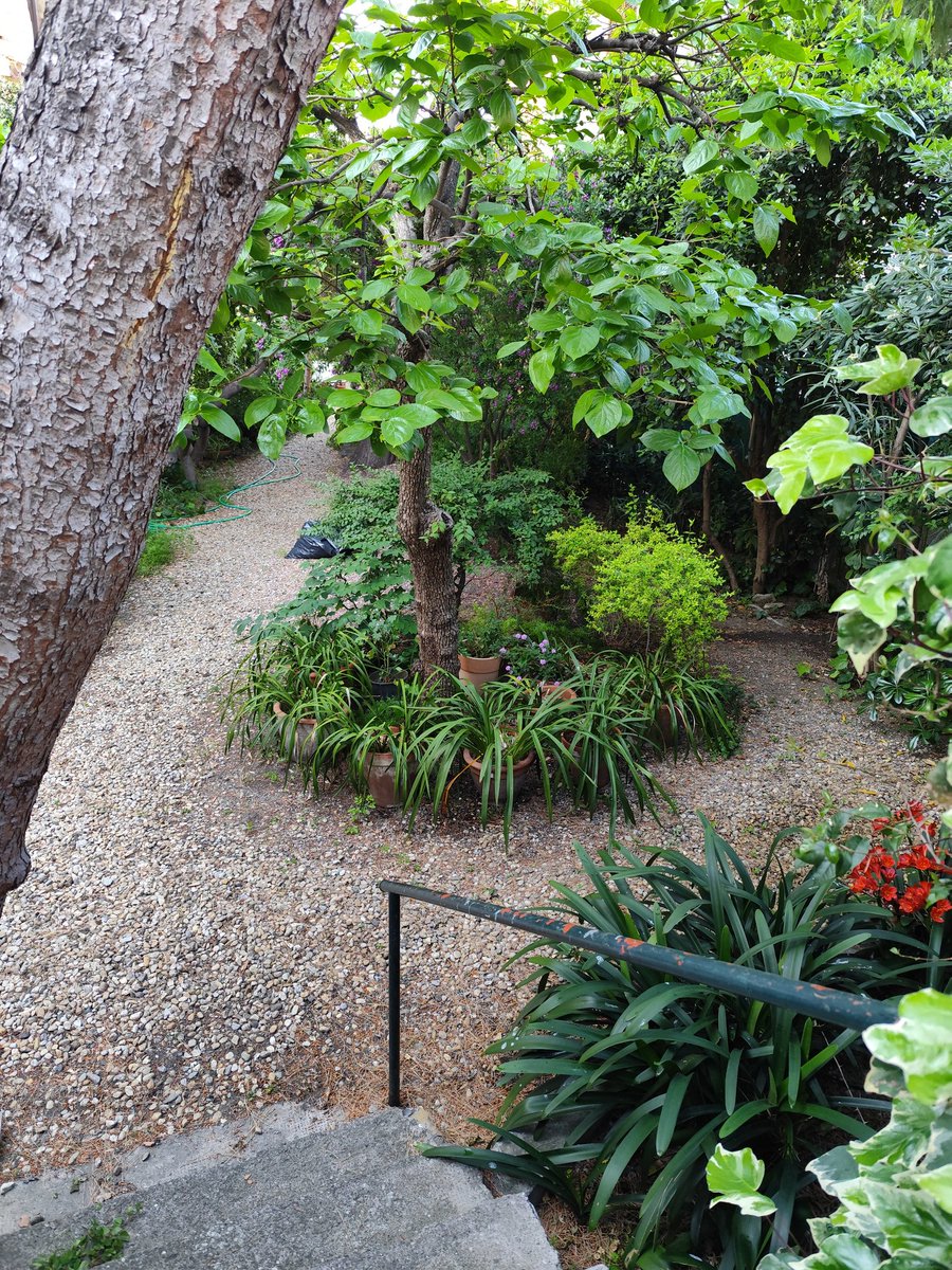 Dove nascondersi la domenica
#liguria 🌳🪨🌊🌷