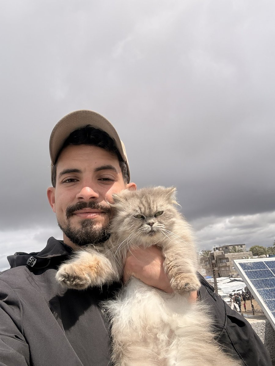 SHARIF 𓂆 tweet media