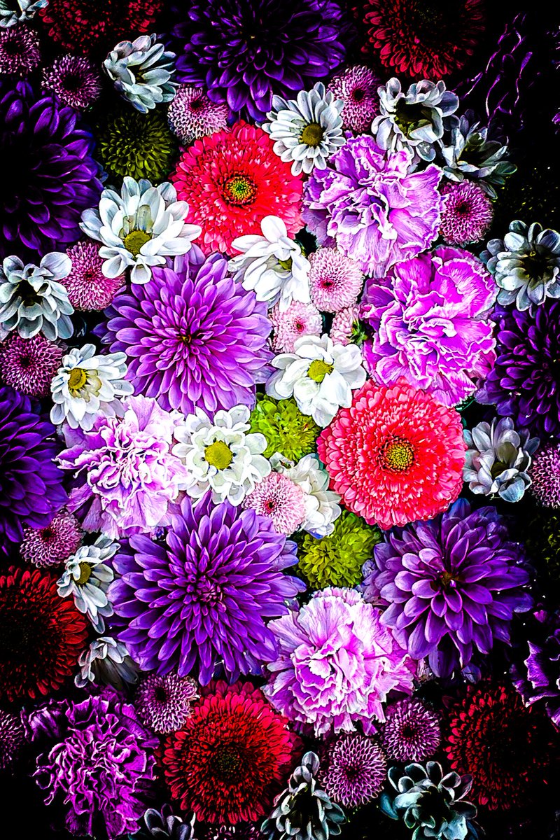 supremeさんの写真部屋 tweet media