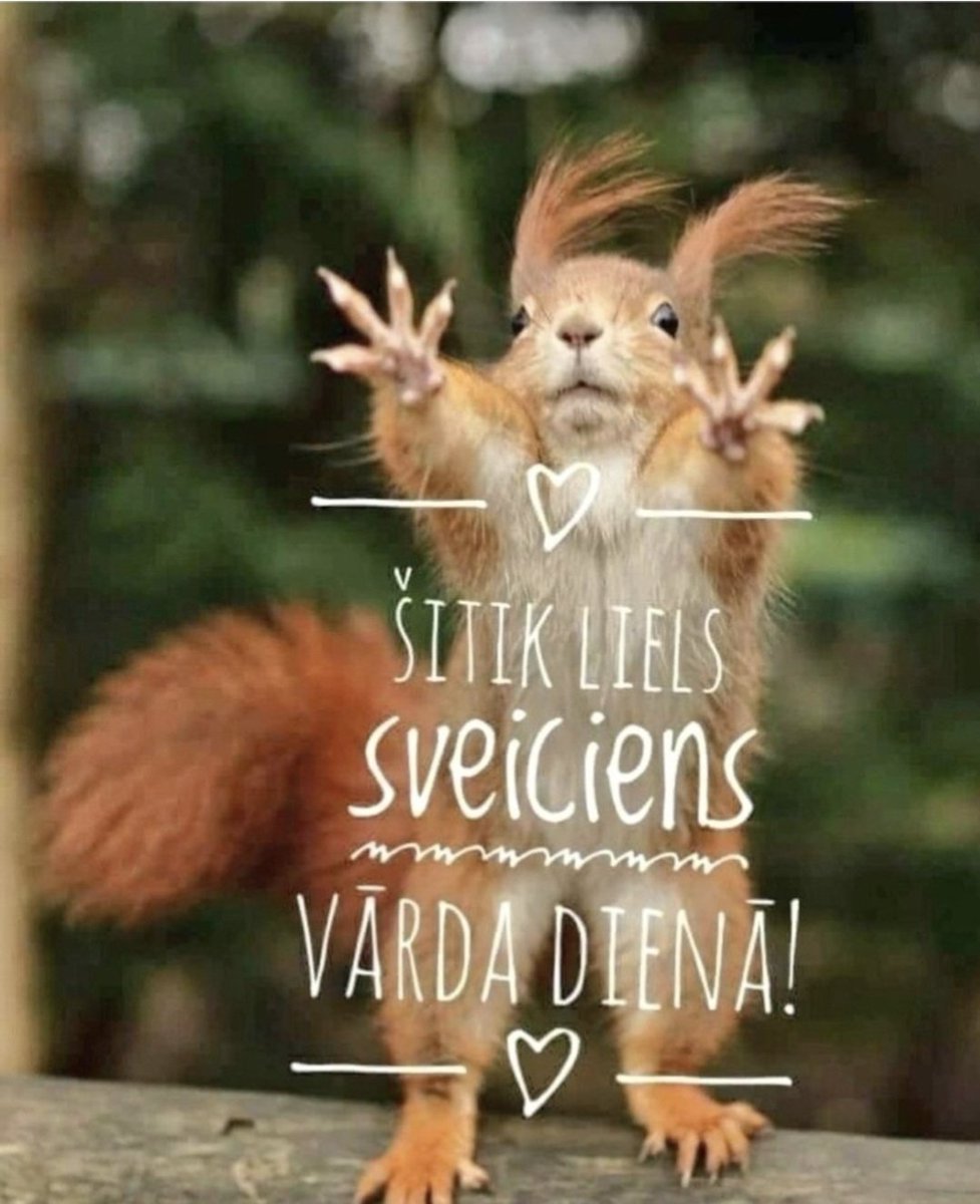 SvetLana tweet media