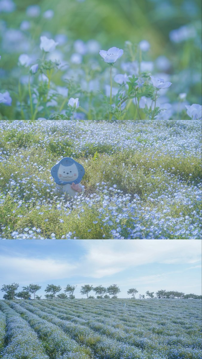 コナミ・サルポア tweet media