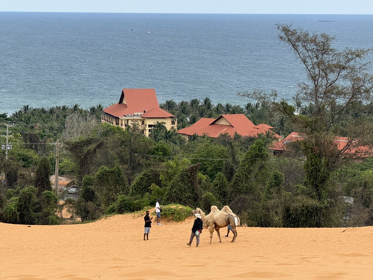 ĐÀO VĂN MINH tweet media