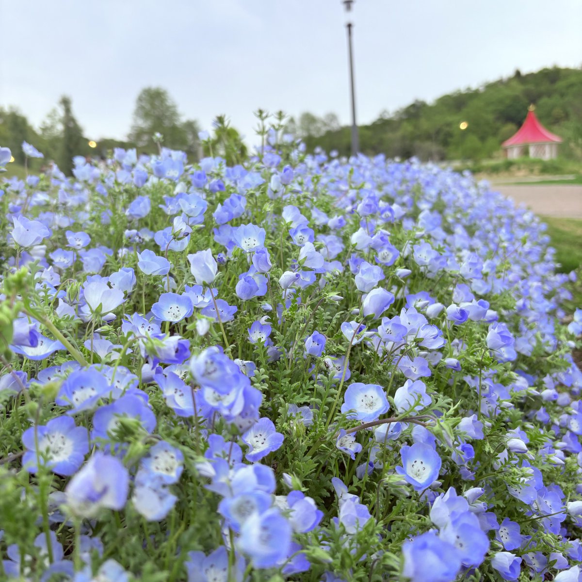 ひだり tweet media