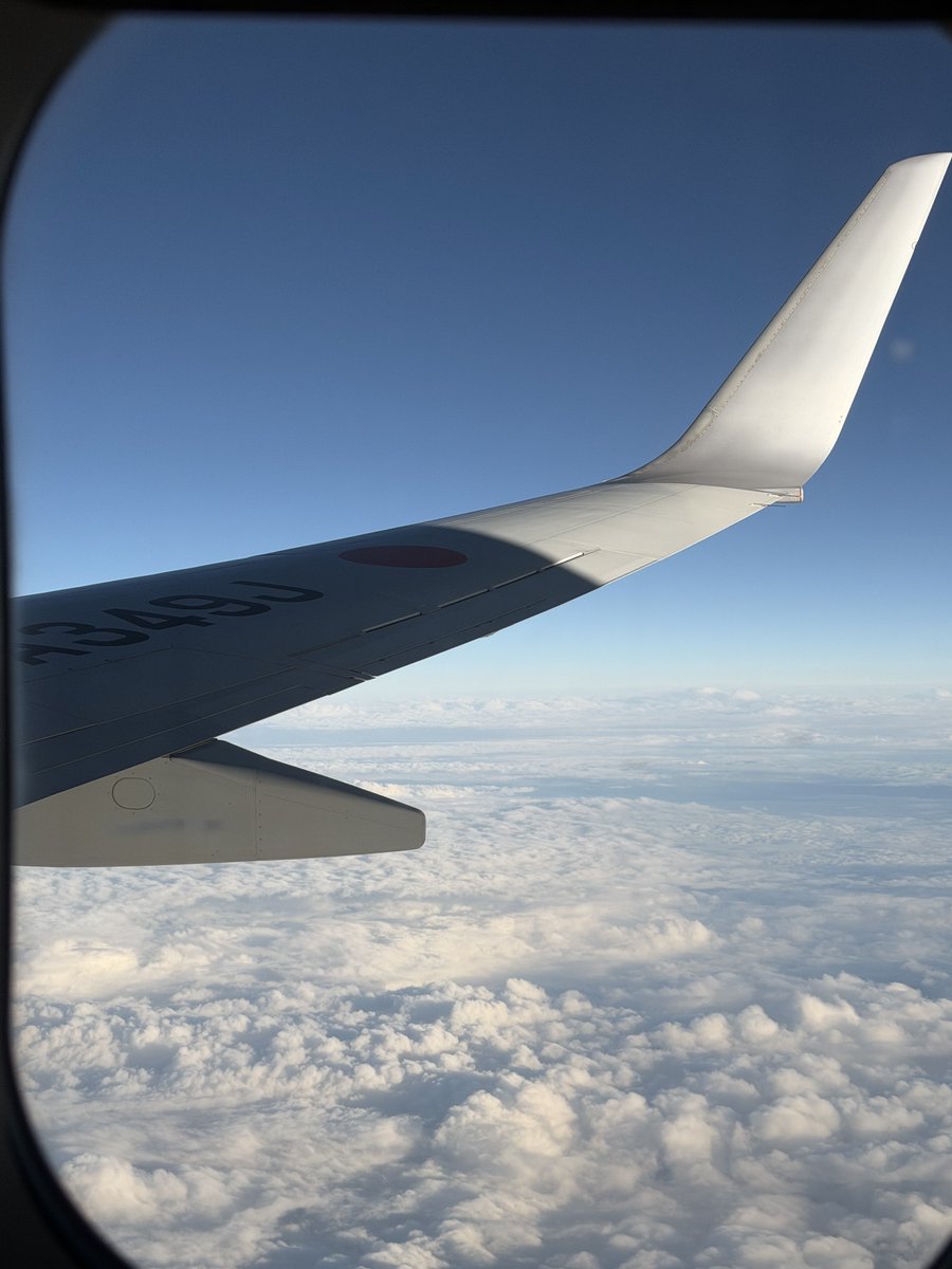 珠澄ぁこ🌱 tweet media