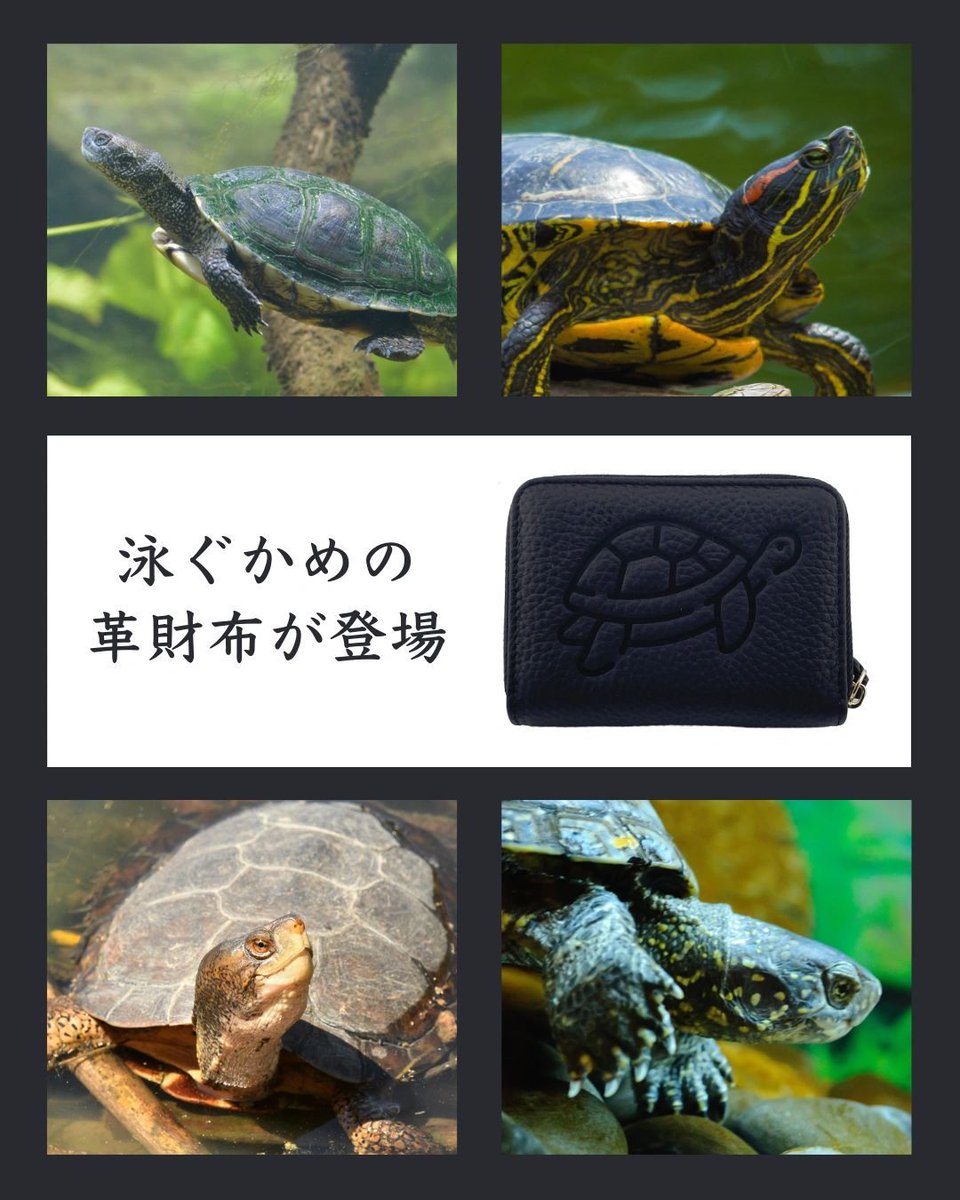 両爬工房＠動物モチーフの革製品 tweet media