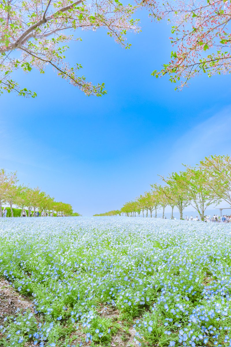 空に青。 tweet media