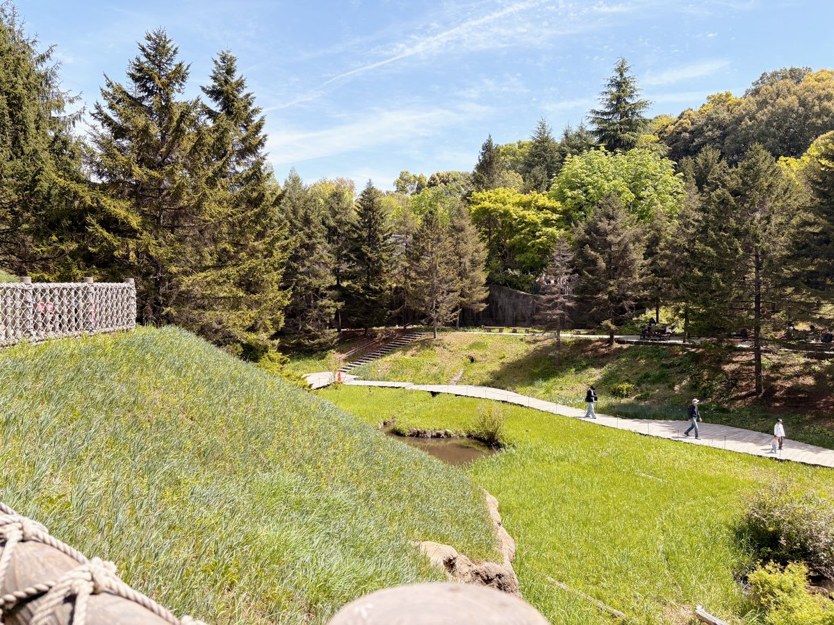 かのこ🌼AI×子育て×探究 tweet media