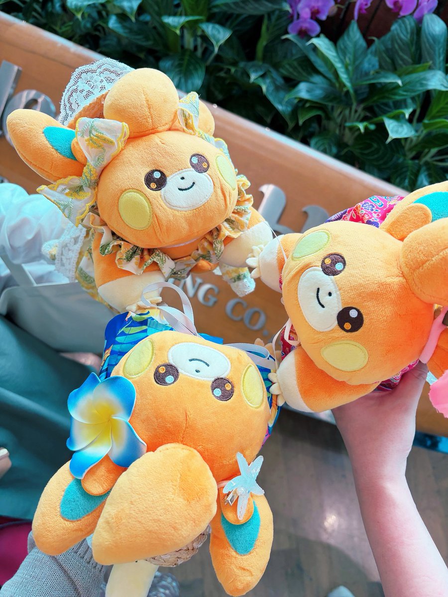 まなぱも tweet media