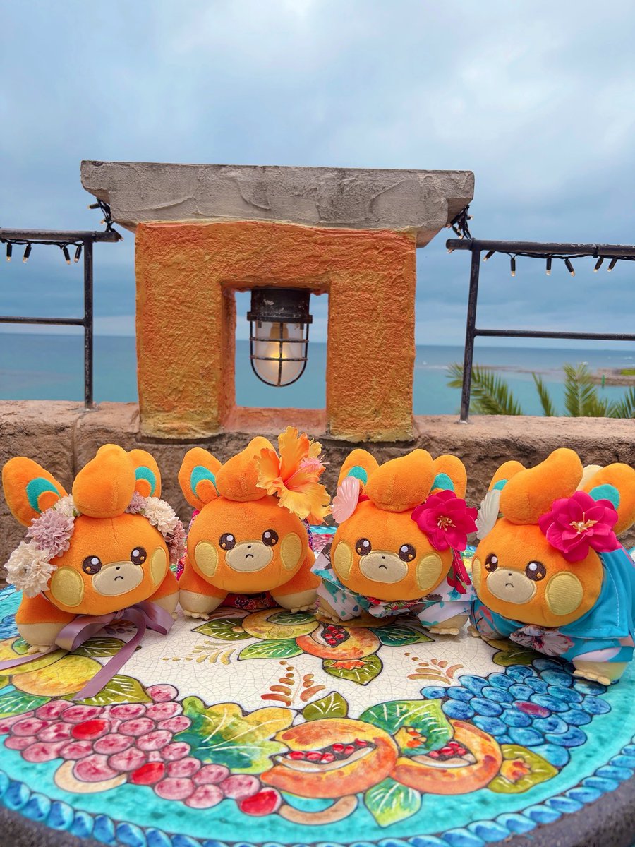 まなぱも tweet media