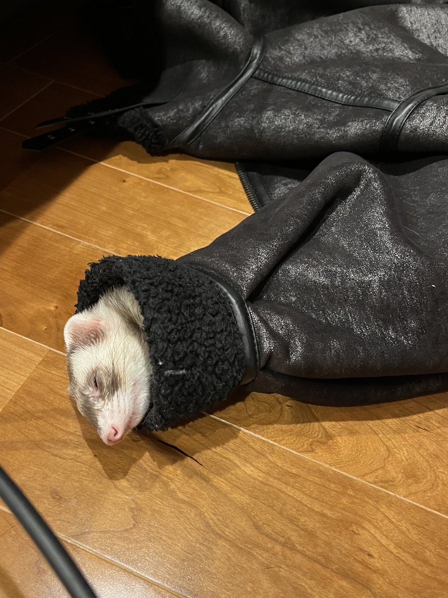 まいち tweet media