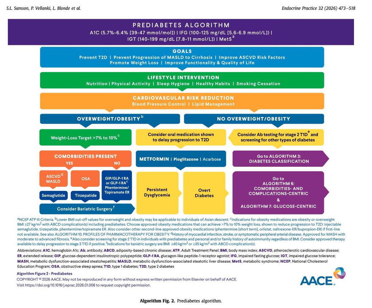 Ahmed Bennis MD 🫀 tweet media