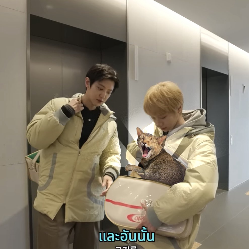 𝐓𝐞𝐞 𝐰𝐢𝐭𝐡 𝐚𝐧 𝐄 tweet media