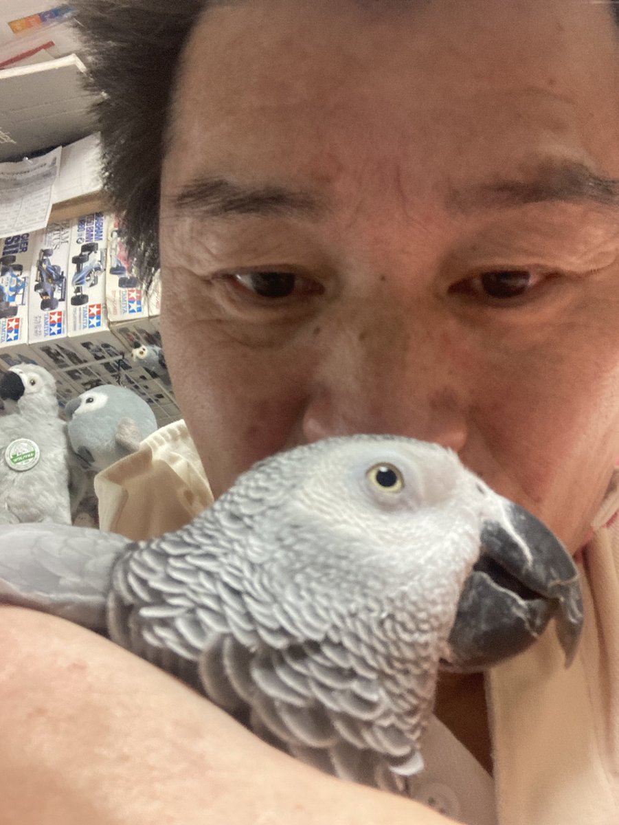 若松実喜男 tweet media