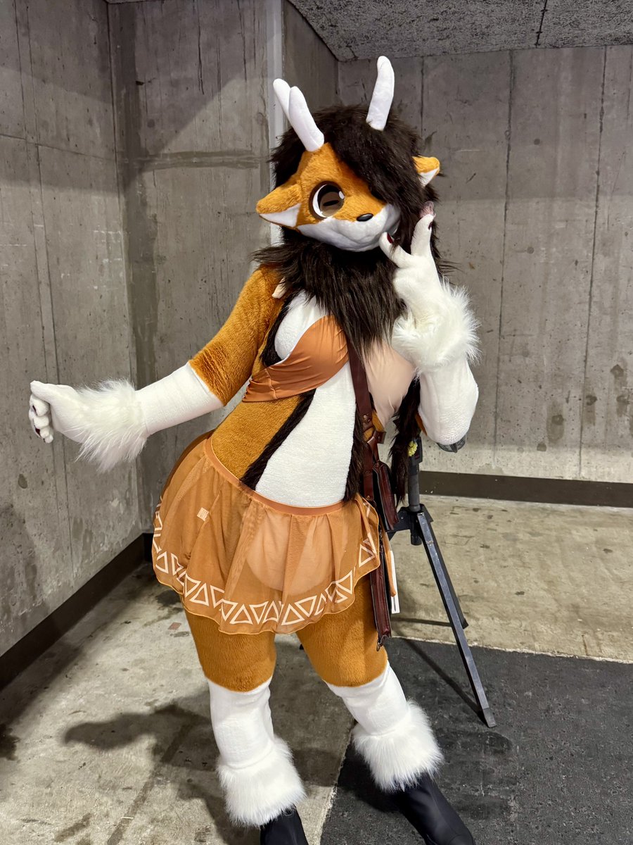 琴瓊🦌 tweet media