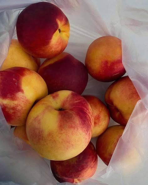 🎻البحار tweet media