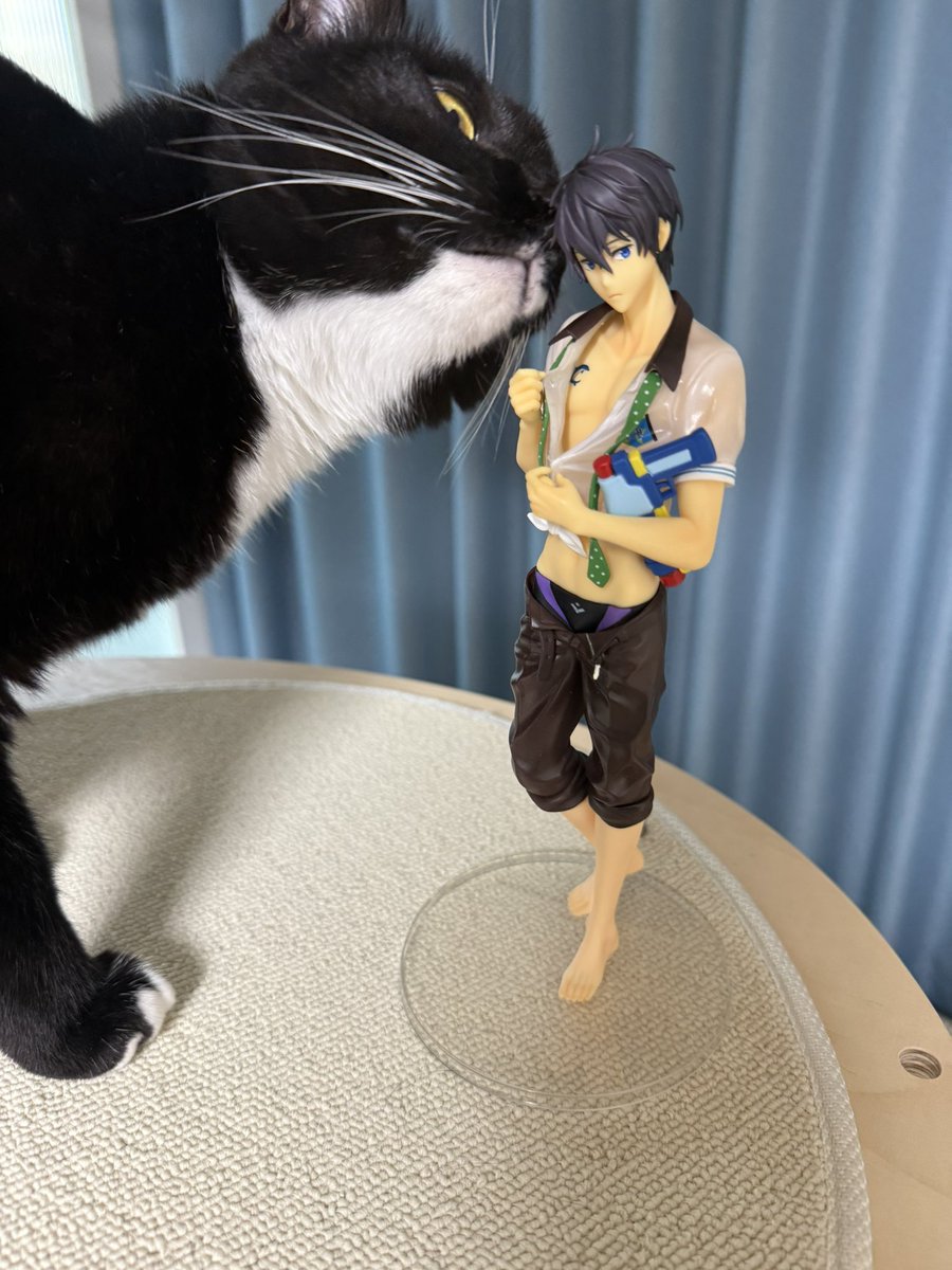 라연🐬アケン✨ tweet media