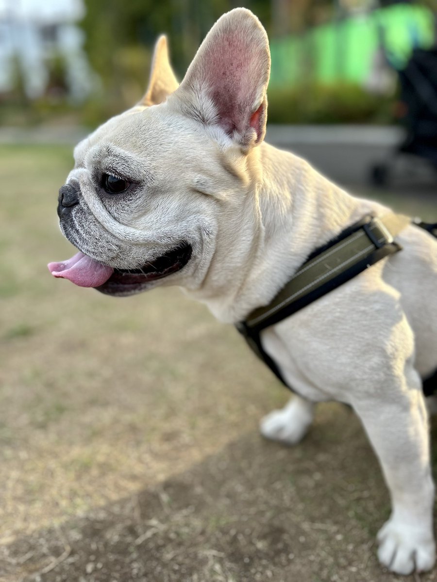 REMすいみん tweet media