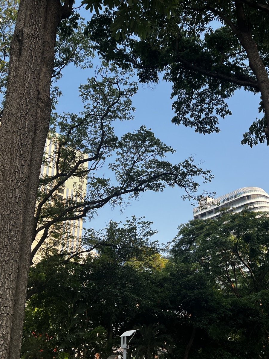 珍奶不加珍珠-台南 tweet media