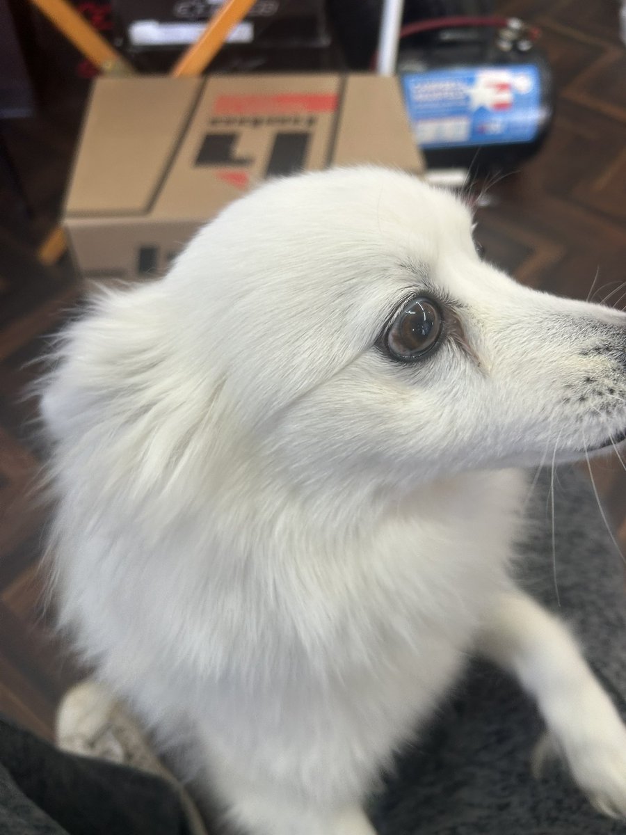 セトゥー☆基礎練習🌱東北支部長 tweet media