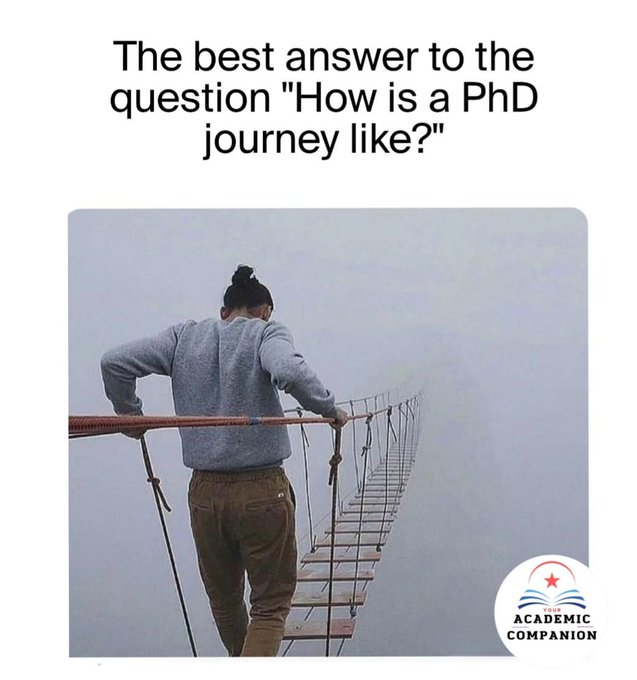 career_re's tweet image. #AcademicTwitter😂#phdvoice #PhDlife