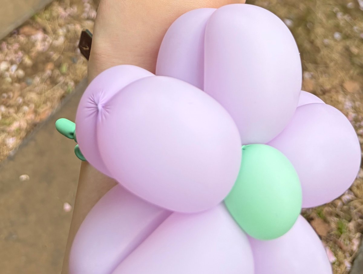 そうだ🧸 tweet media