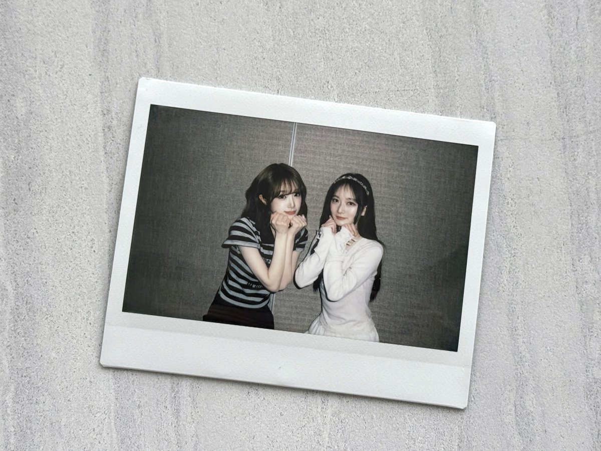 설가니 tweet media