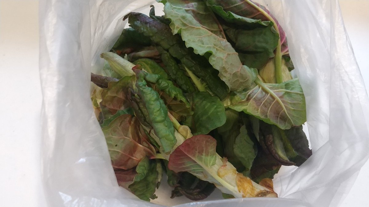 ちるみる🩷🏀 tweet media