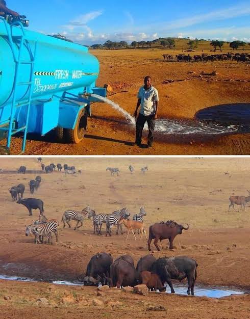 Dr. M.F. Khan tweet media