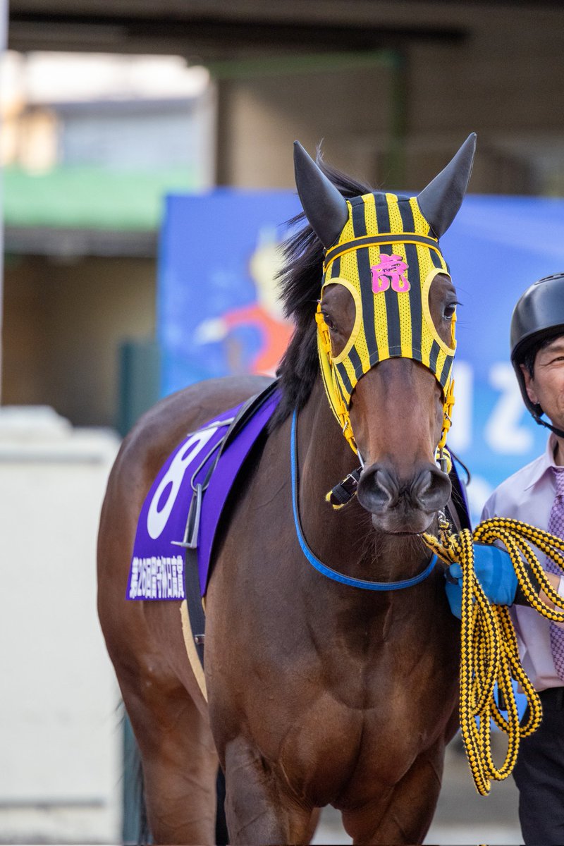 ほむん tweet media