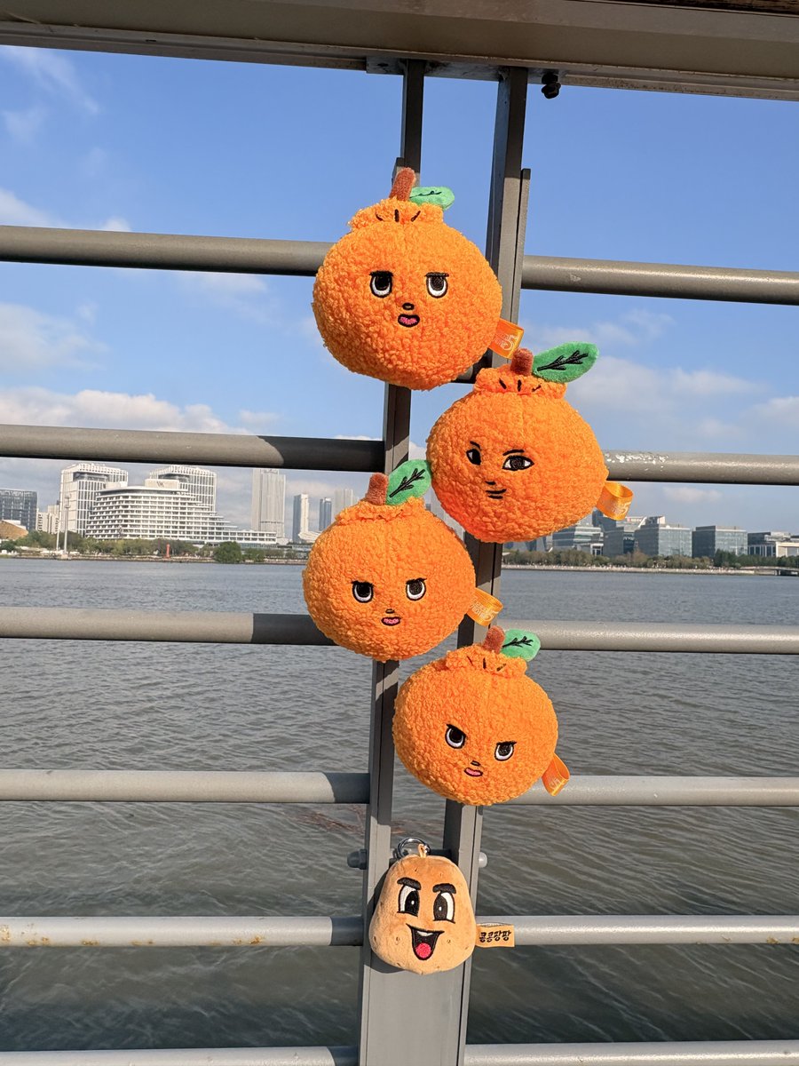 nezumi_i🦔 tweet media