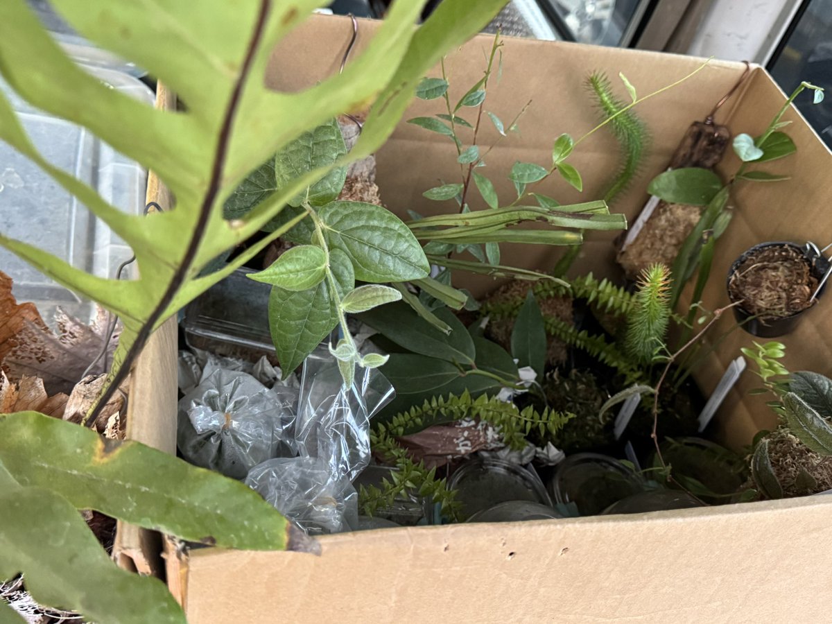 モレ吾郎@M.R.G.R since2020 tweet media