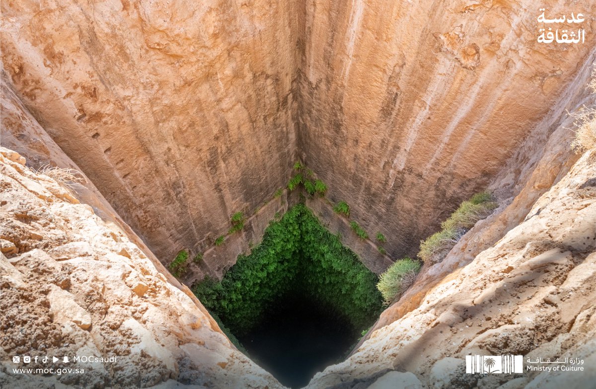 مَوئِل | معماري 🏛️ tweet media