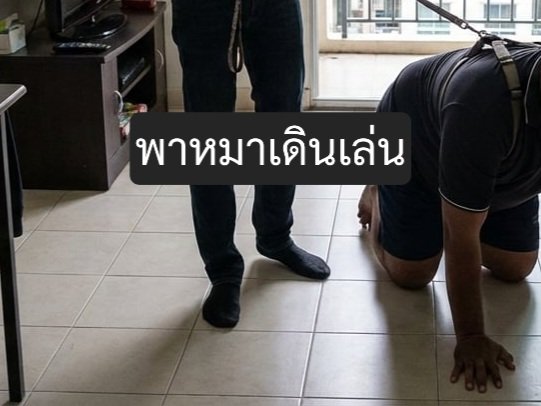 Master Kim THAI BDSM หาทาสรับใช้ ทาสเท้า เลียตีน tweet media