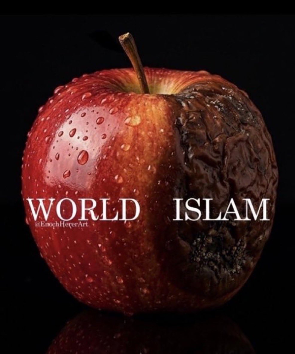 Ardvark51 tweet media