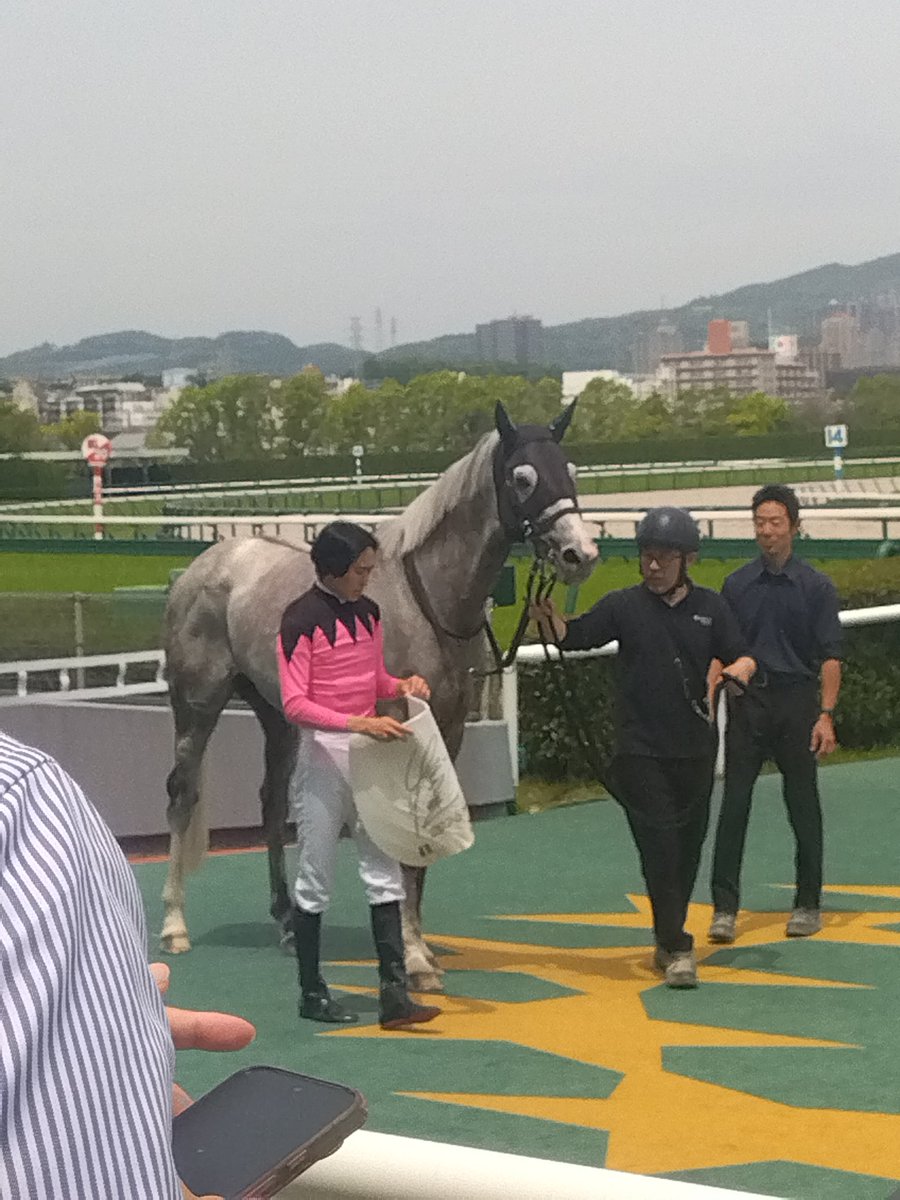 芦毛ラブ🐎 tweet media