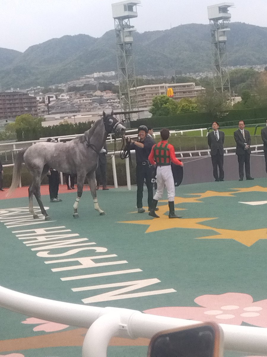 芦毛ラブ🐎 tweet media