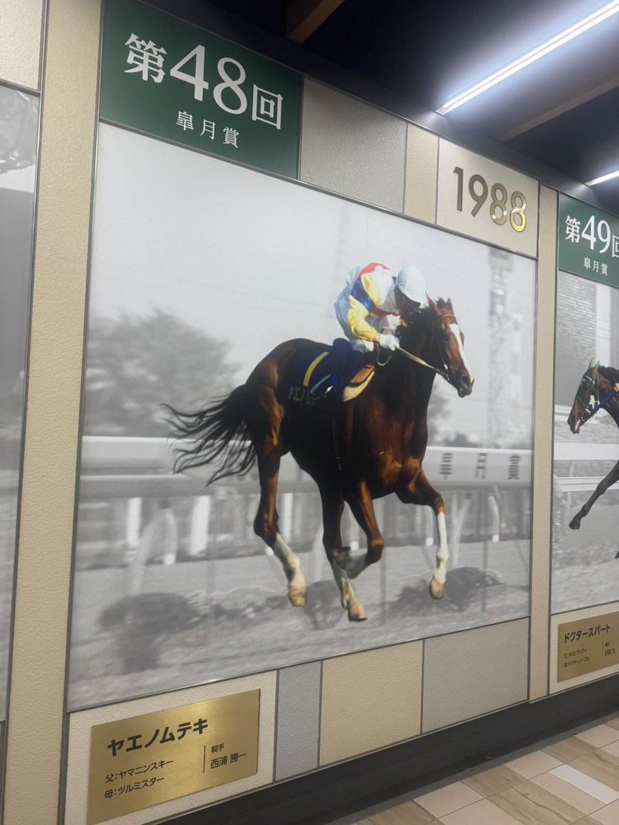 ろろ📊Marketer🩺 tweet media