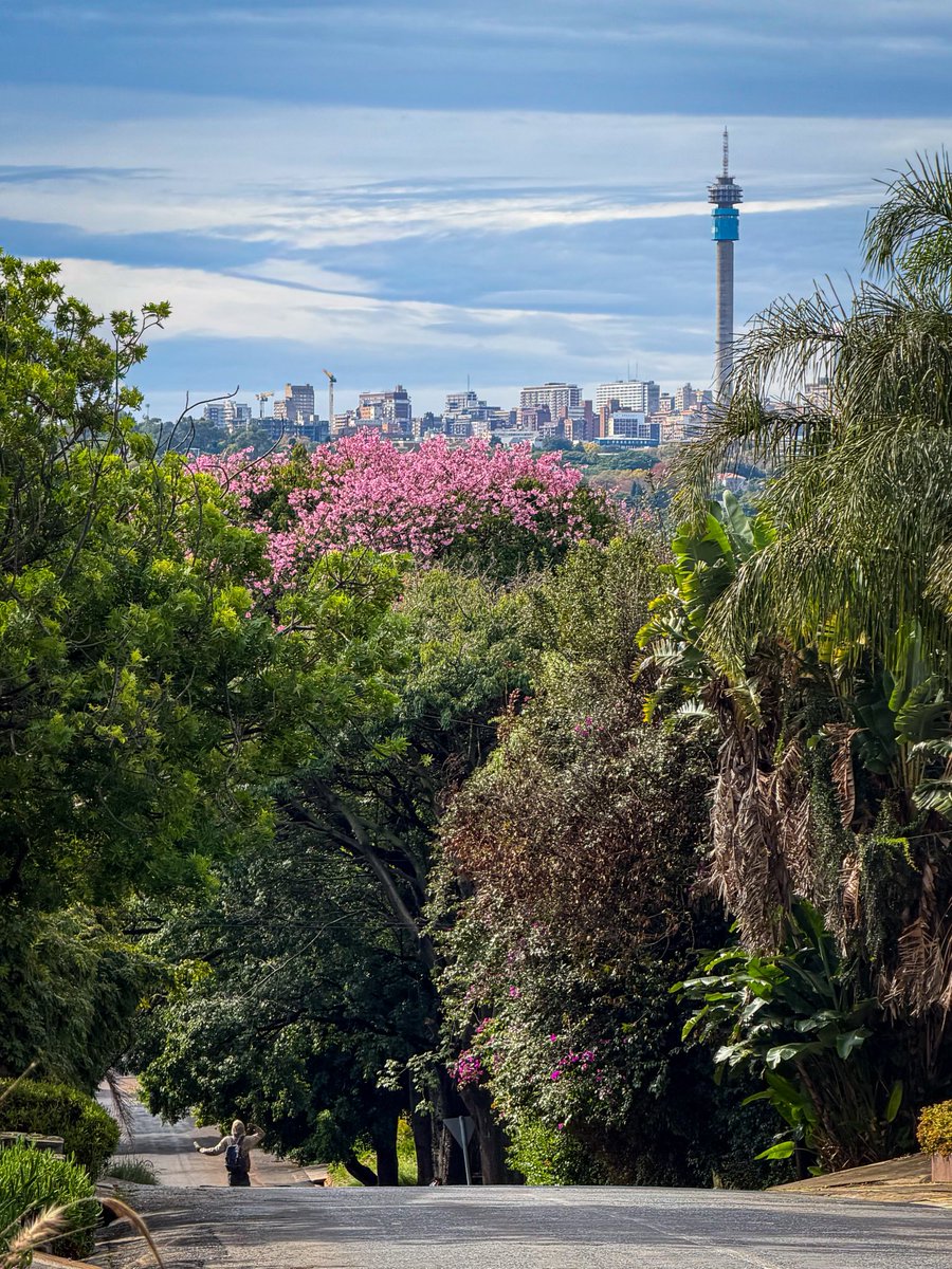 It’s a beautiful day in the city of forests 😍🌳