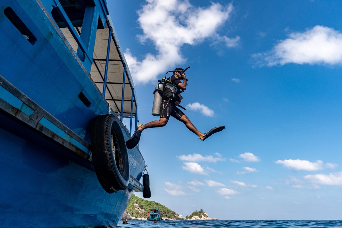 GoProIDCKohTao's tweet image. Our MSDT Program gives you the opportunity to gain the teaching experience and certifications that employers look for. blackturtledive.com/padi-pro-level… #Teaching #Instructor #MSDT #KohTao #Thailand #Scuba #Career