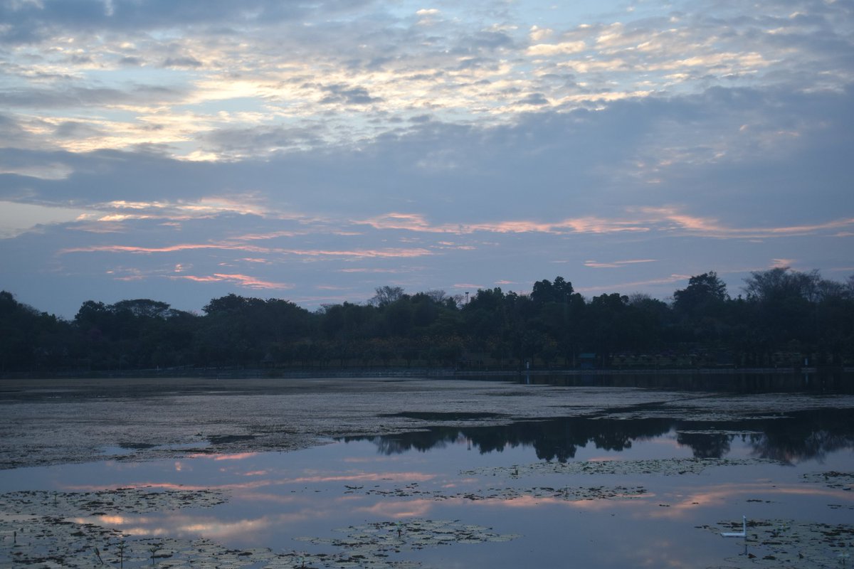 Cerberane's tweet image. More Lovely views from one of my morning #walks around อ่างเก็บน้ำหนองบัว in late February 
วิวสวยๆ จากการเดินเที่ยวรอบๆ อ่างเก็บน้ำหนองบัวช่วงปลายเดือนกุมภาพันธ์
#sunrise
#lake 
#nature
#naturelovers
#naturephotography