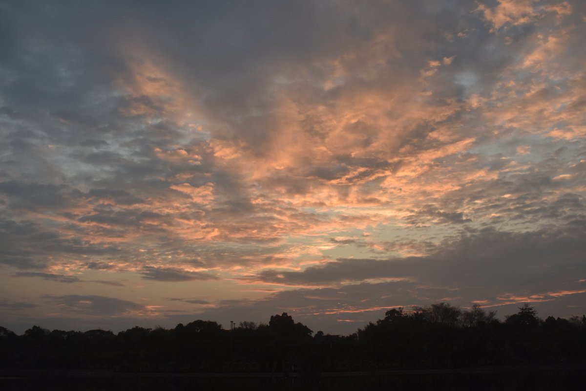 Cerberane's tweet image. More Lovely views from one of my morning #walks around อ่างเก็บน้ำหนองบัว in late February 
วิวสวยๆ จากการเดินเที่ยวรอบๆ อ่างเก็บน้ำหนองบัวช่วงปลายเดือนกุมภาพันธ์
#sunrise
#lake 
#nature
#naturelovers
#naturephotography
