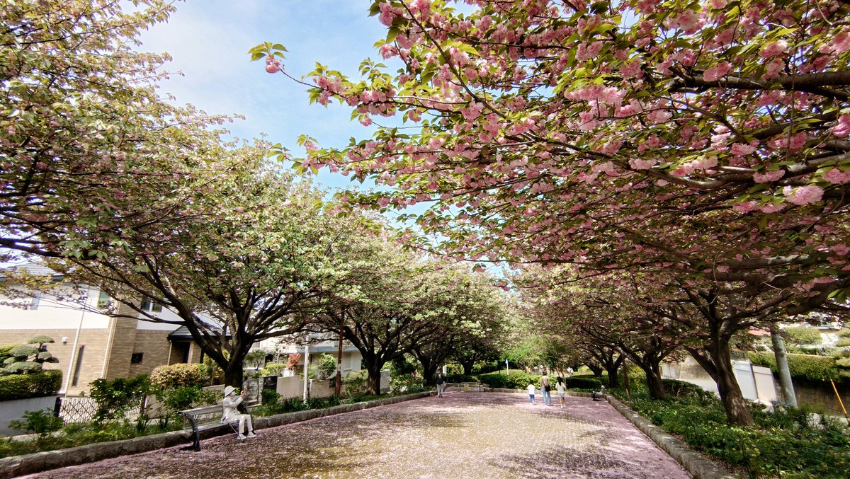 とんとろ tweet media