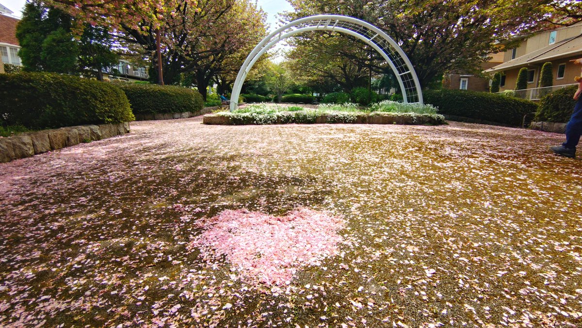 とんとろ tweet media